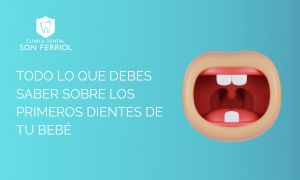 guia de denticion dental